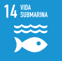vida submarina