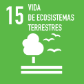 vida de ecosistemas