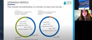 Demanda hídrica