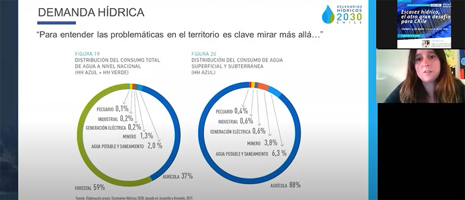 Demanda hídrica