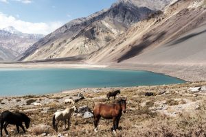 Río Maipo