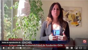 entrevista a ulrike
