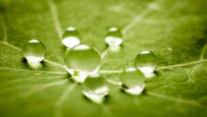 gotas de agua