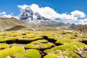 Perú
