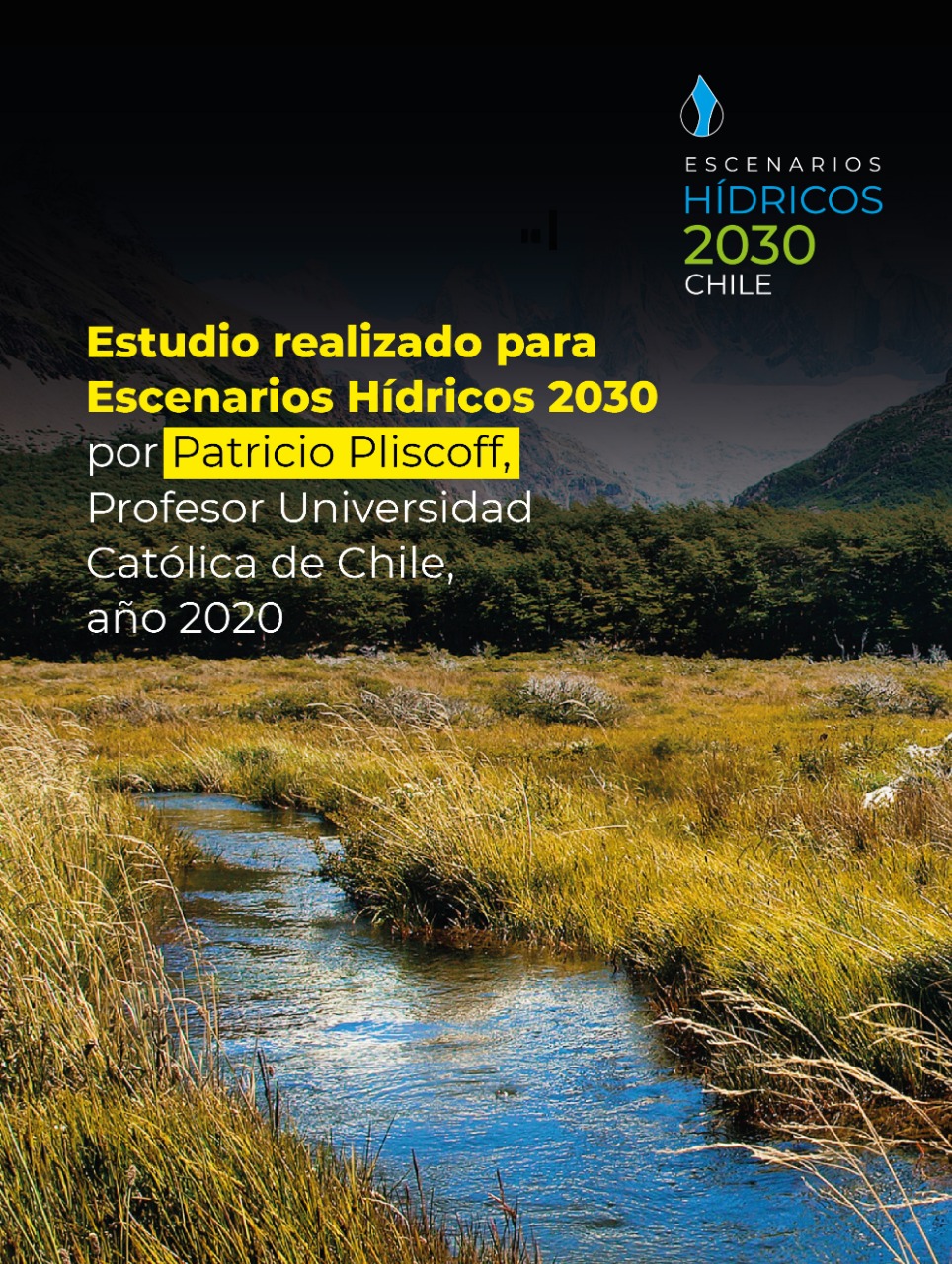 Portada de informe Pliscoff