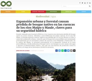 Noticia